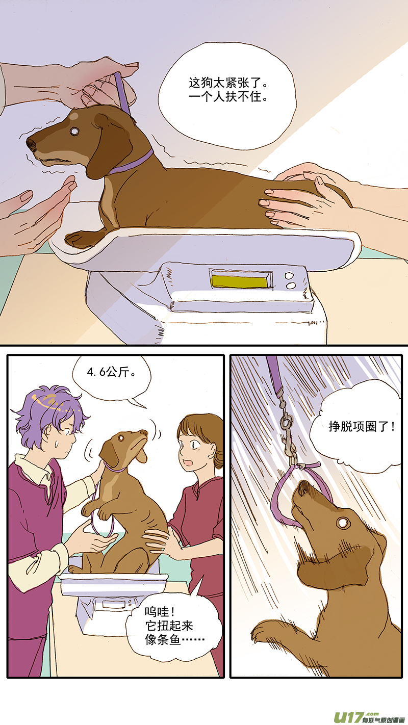 071 就诊动物逃逸-第71话