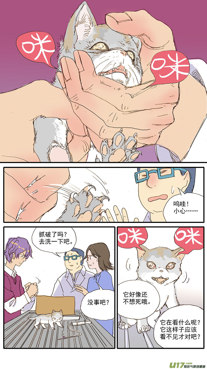 073 角膜溃疡-第73话