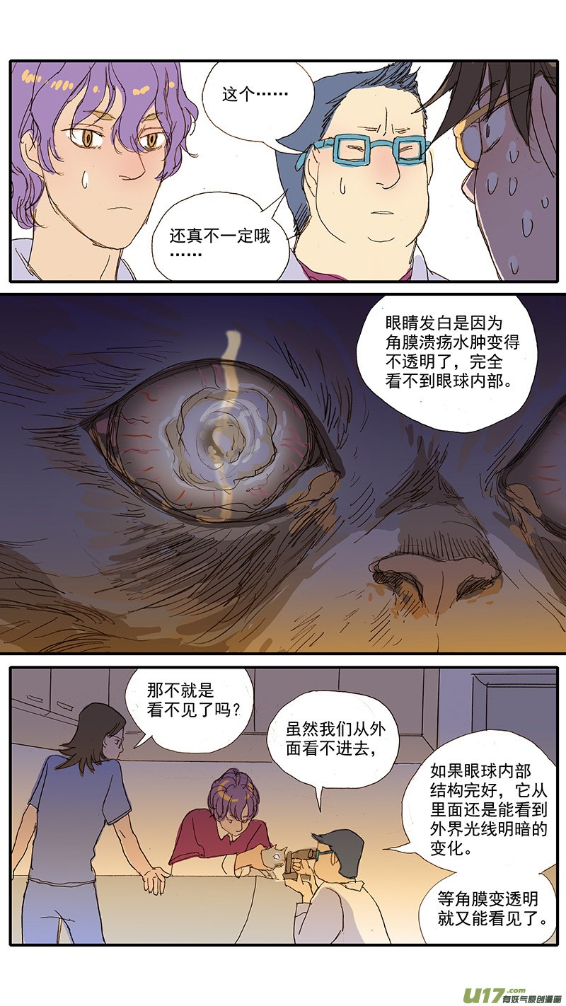 073 角膜溃疡-第73话