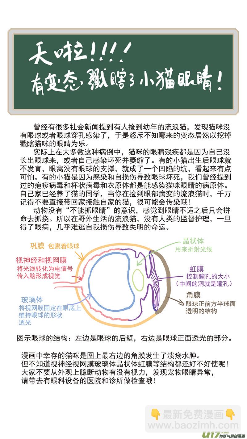 073 角膜溃疡-第73话