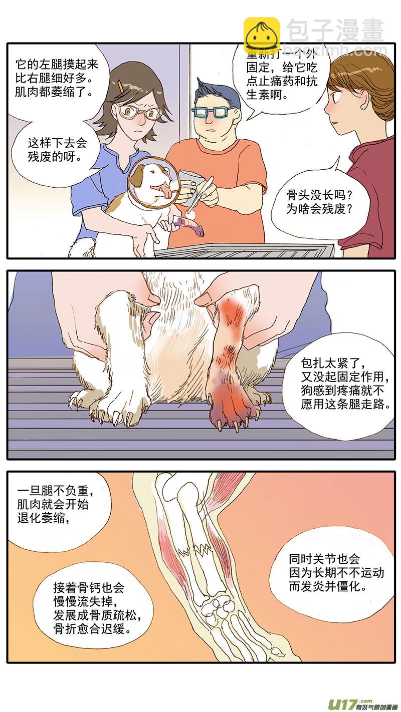 075 骨折愈合-第75话