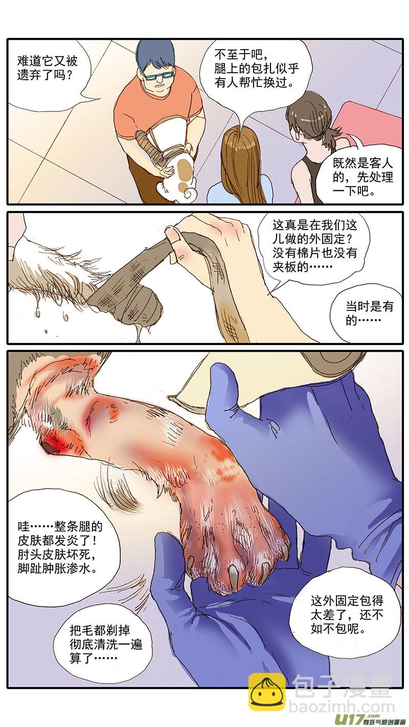 百足寵物診所 - 075 骨折癒合 - 3