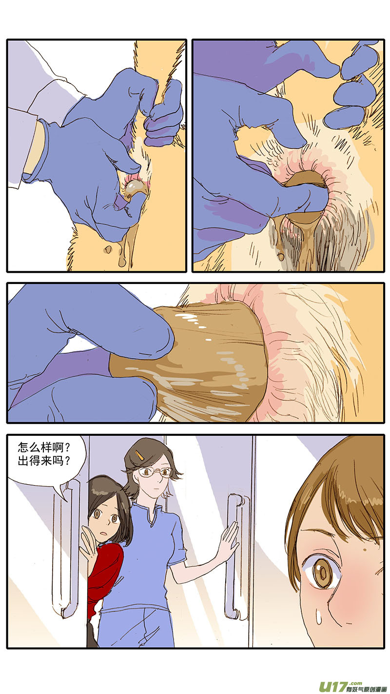 077 犬消化道异物（食物包装）-第77话