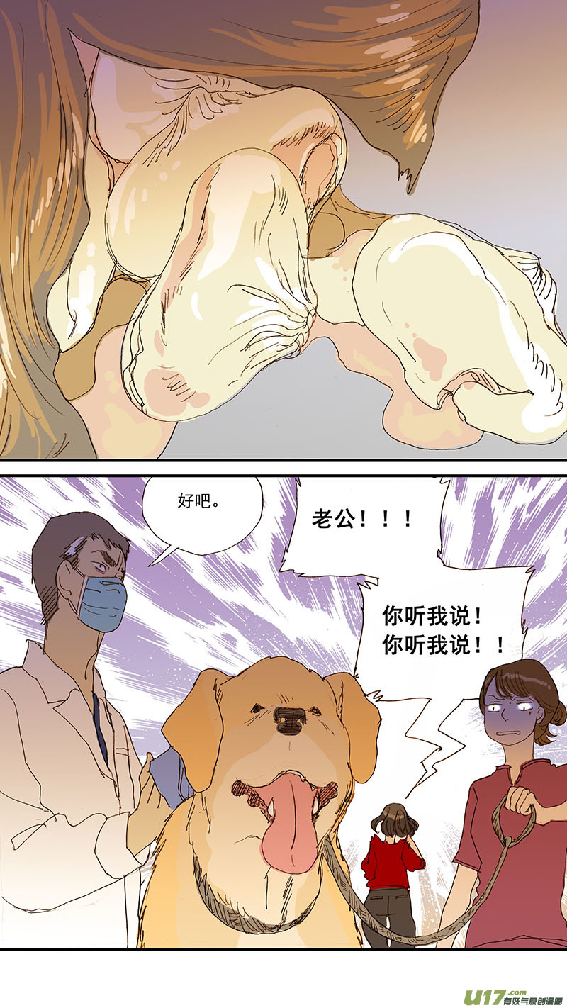 077 犬消化道异物（食物包装）-第77话