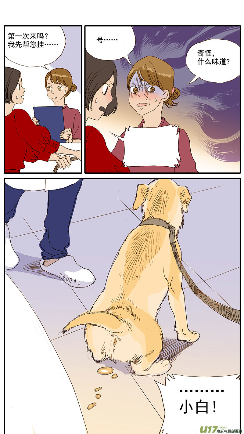 077 犬消化道异物（食物包装）-第77话