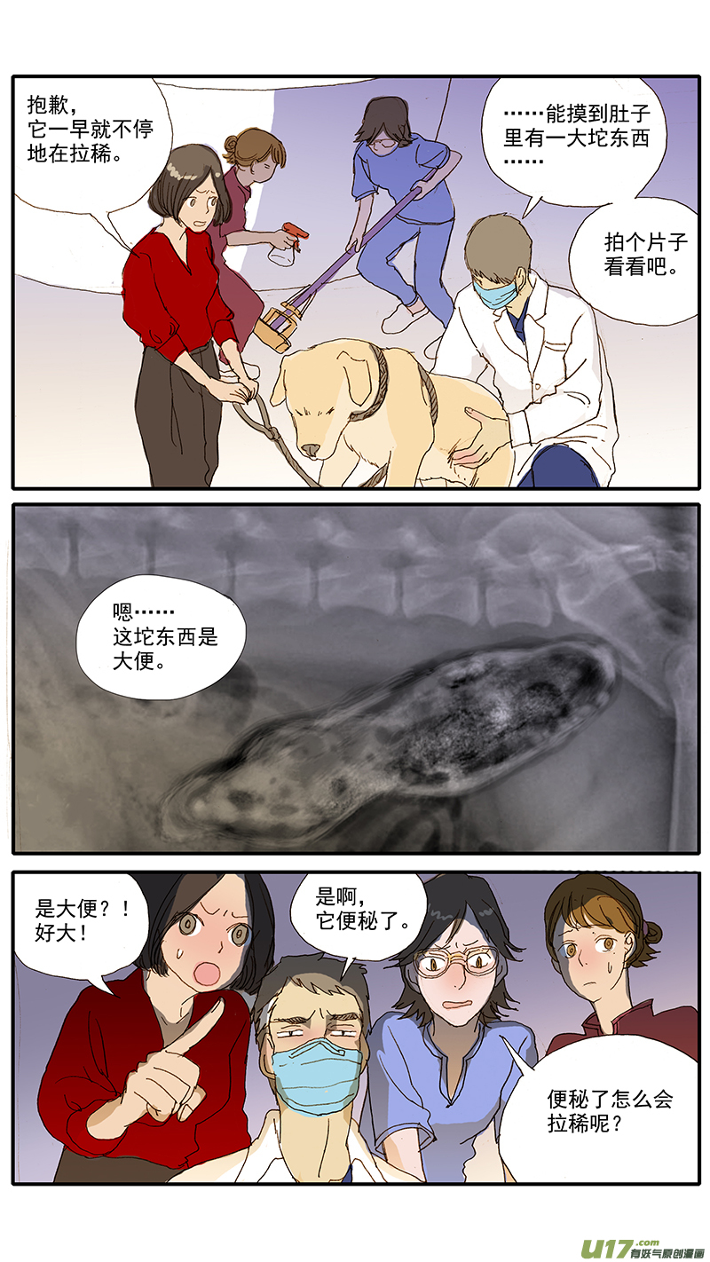 077 犬消化道异物（食物包装）-第77话