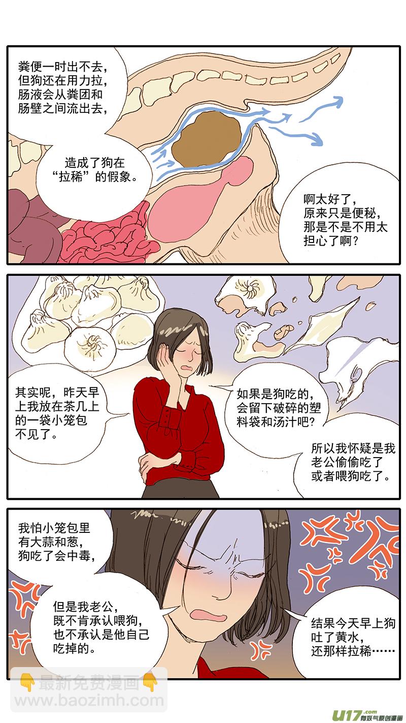 077 犬消化道异物（食物包装）-第77话