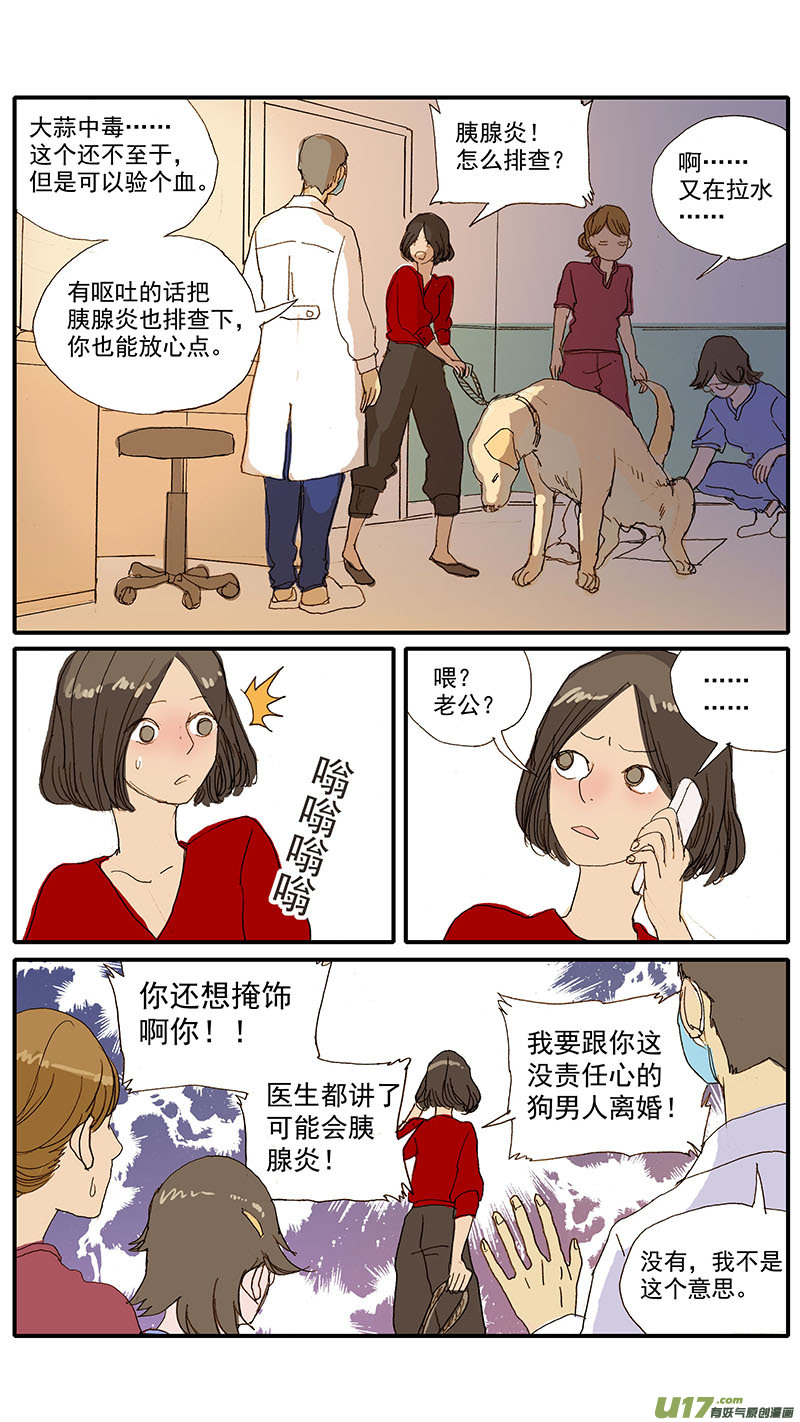 077 犬消化道异物（食物包装）-第77话