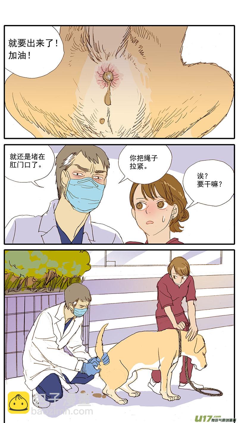 077 犬消化道异物（食物包装）-第77话