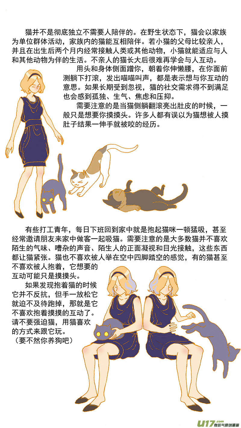 百足寵物診所 - 079特別篇超簡易養貓指導 - 2