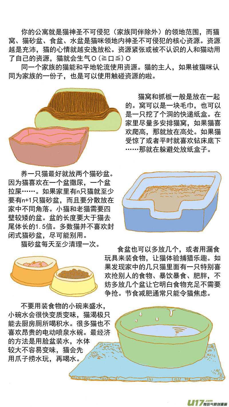 079特别篇超简易养猫指导-第79话