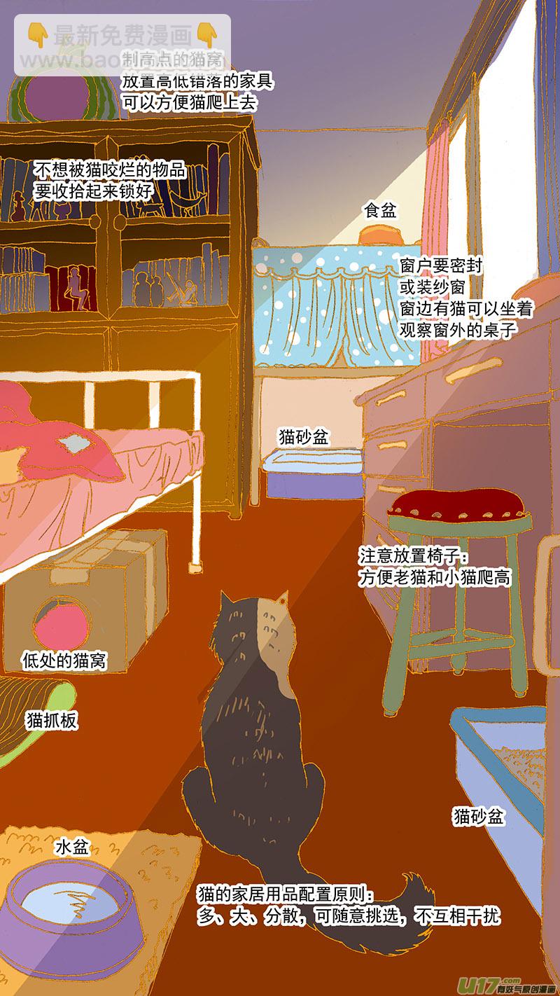 079特别篇超简易养猫指导-第79话
