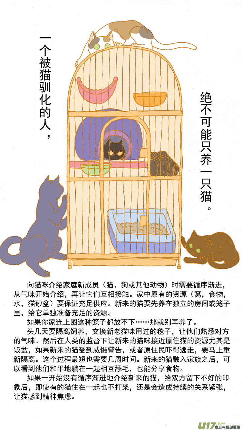 079特别篇超简易养猫指导-第79话
