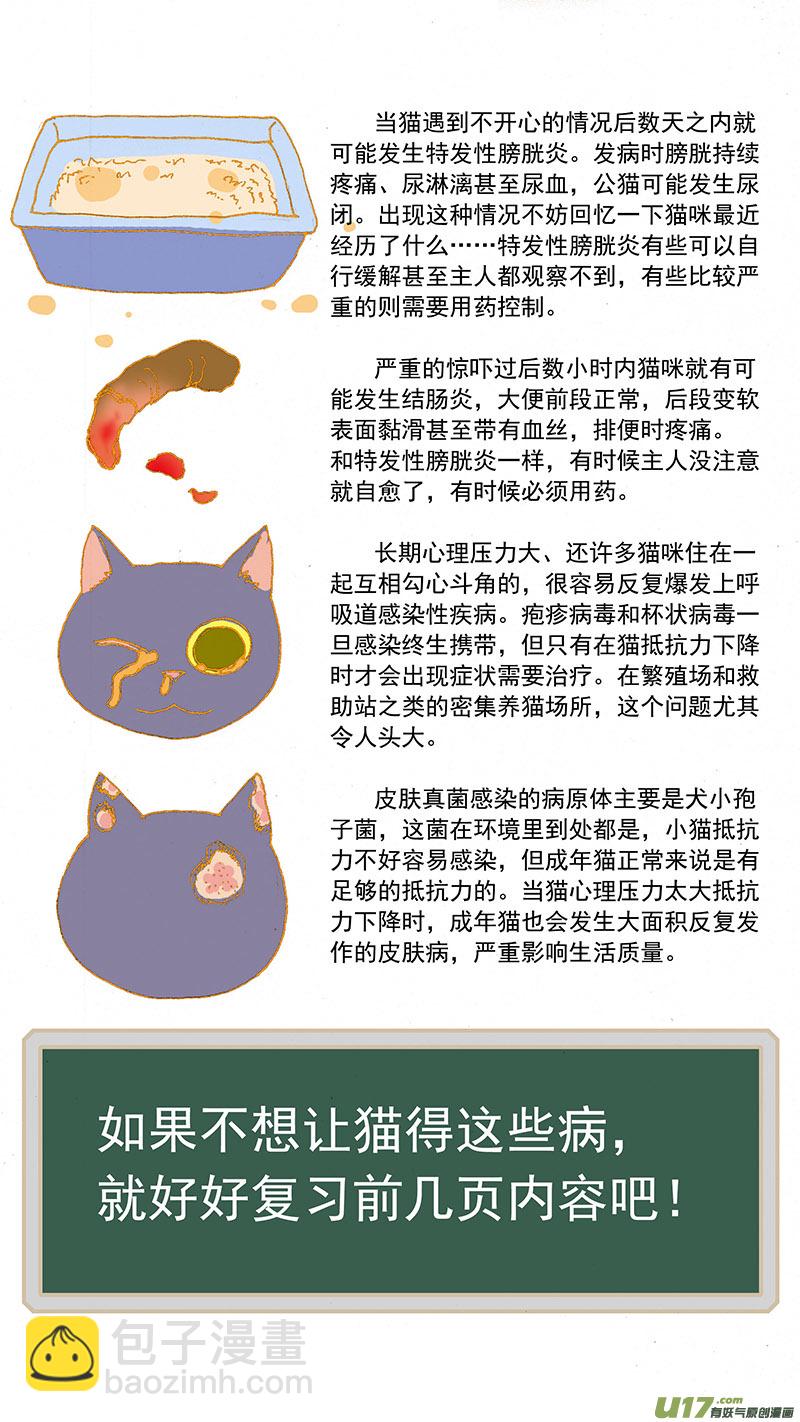 079特别篇超简易养猫指导-第79话