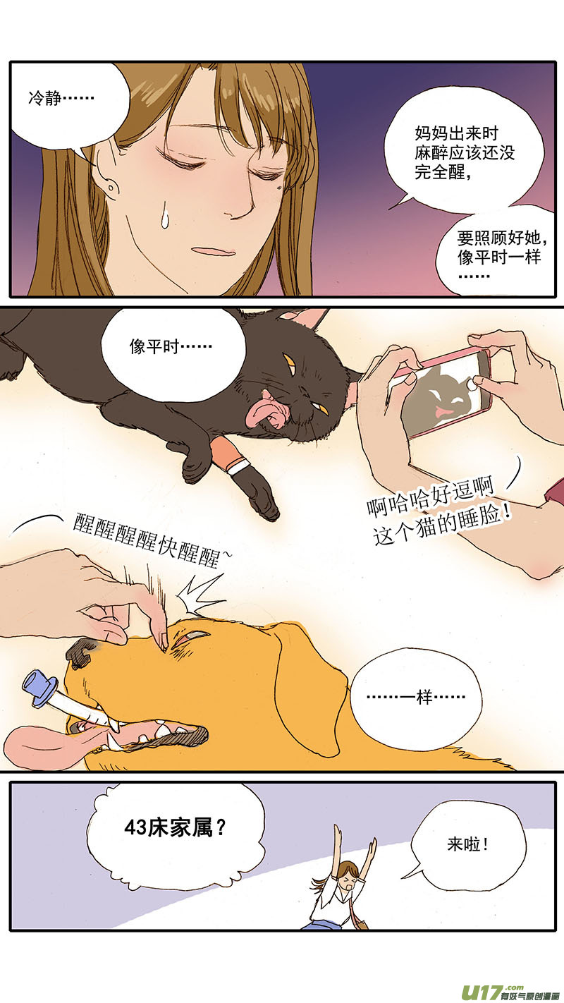 083 麻醉苏醒-第83话