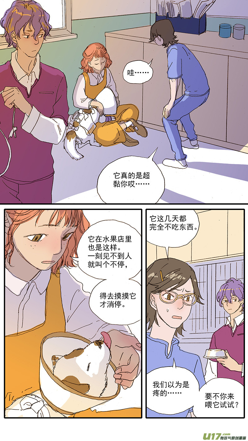 097 狗狗挑食怎么办-第97话