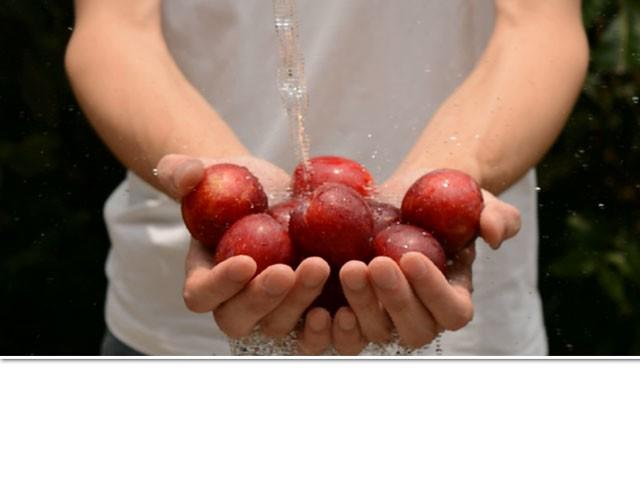 第11期 红李酱+肉桂苹果派风乳酪蛋糕-第11话