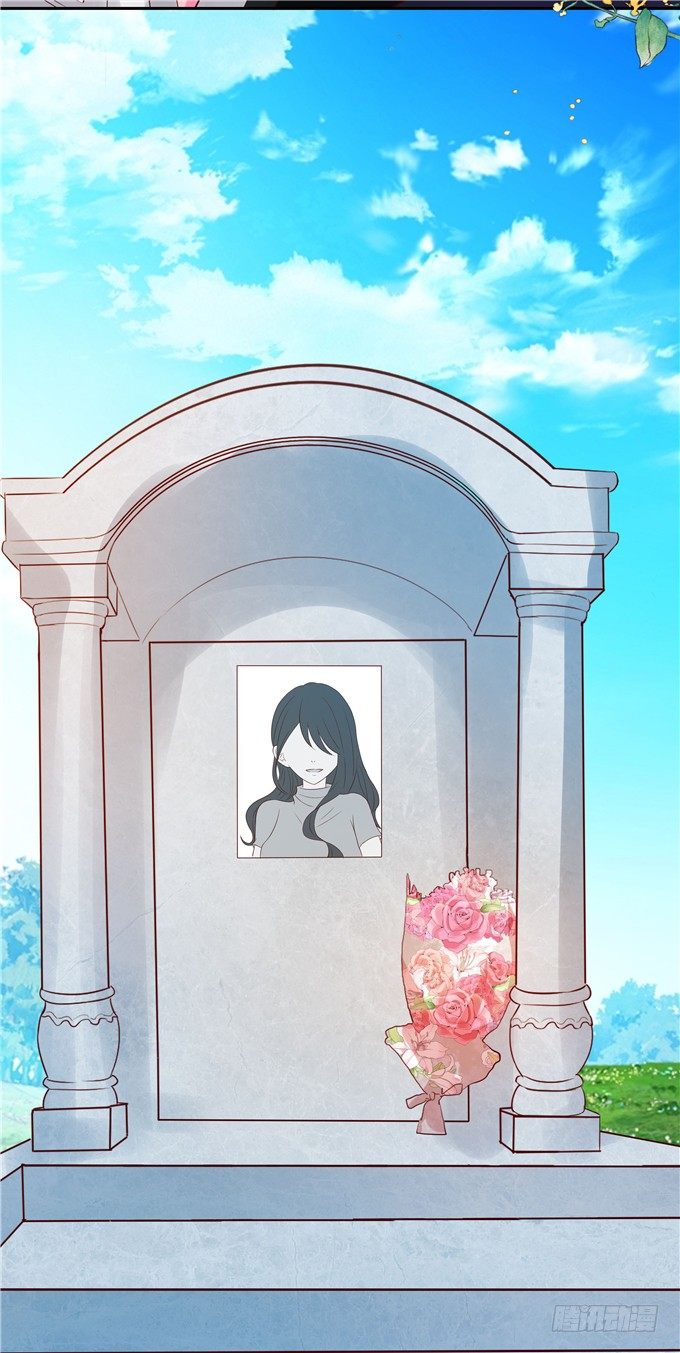 原来今天是林玖妈妈忌日-第65话