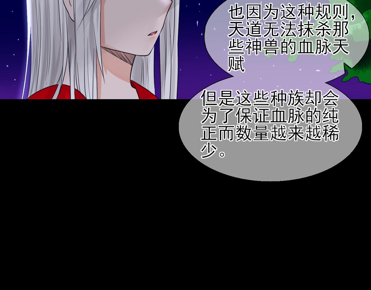 第13话 属性与圣星(1/2)-第13话