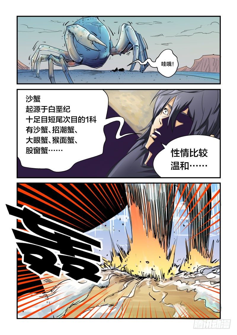 性情温和的生物－沙蟹-第33话