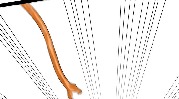 第27话(1/2)-第27话