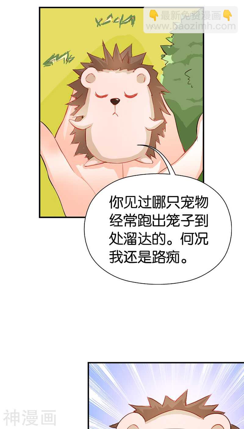 第41话 谁敢动我的人！-第41话