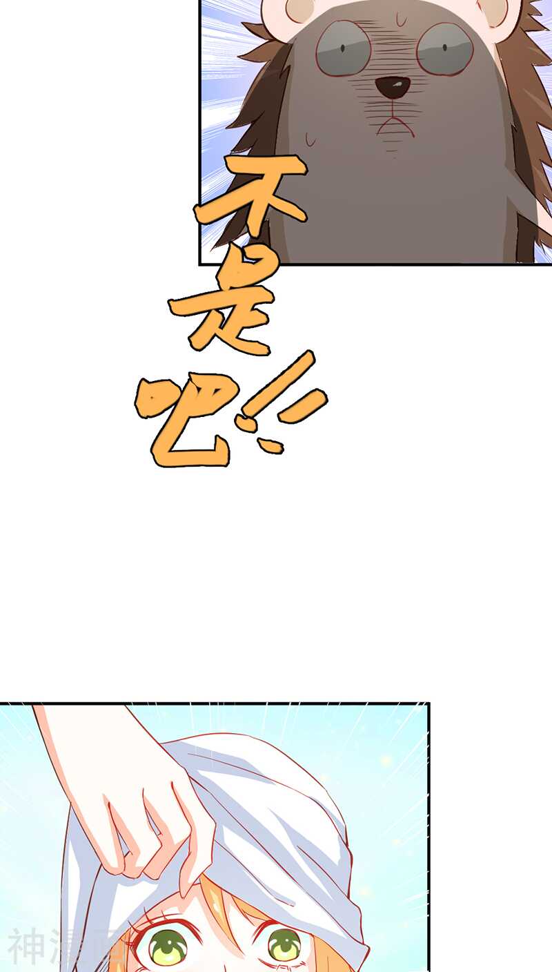 第41话 谁敢动我的人！-第41话