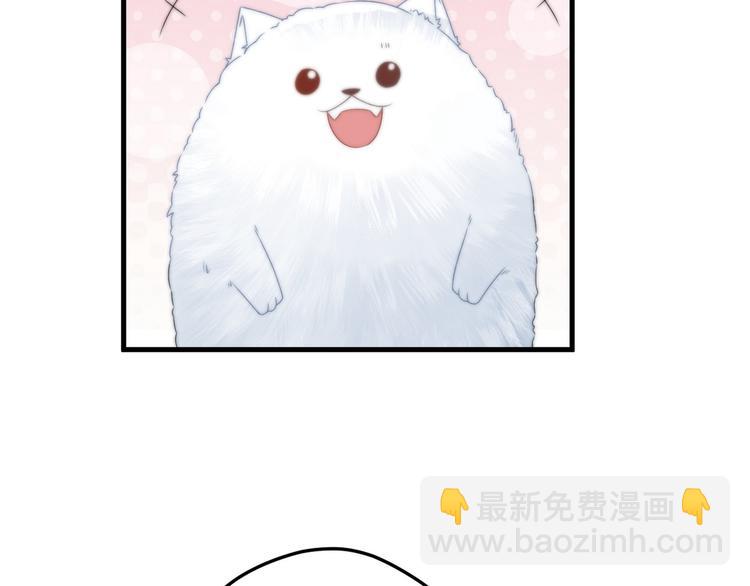 010 智斗绿茶(1/2)-第11话