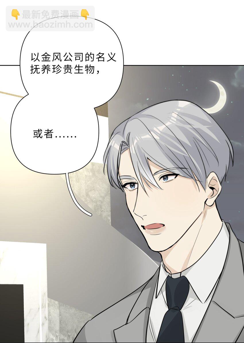 第89话 一起养个龙？-第91话