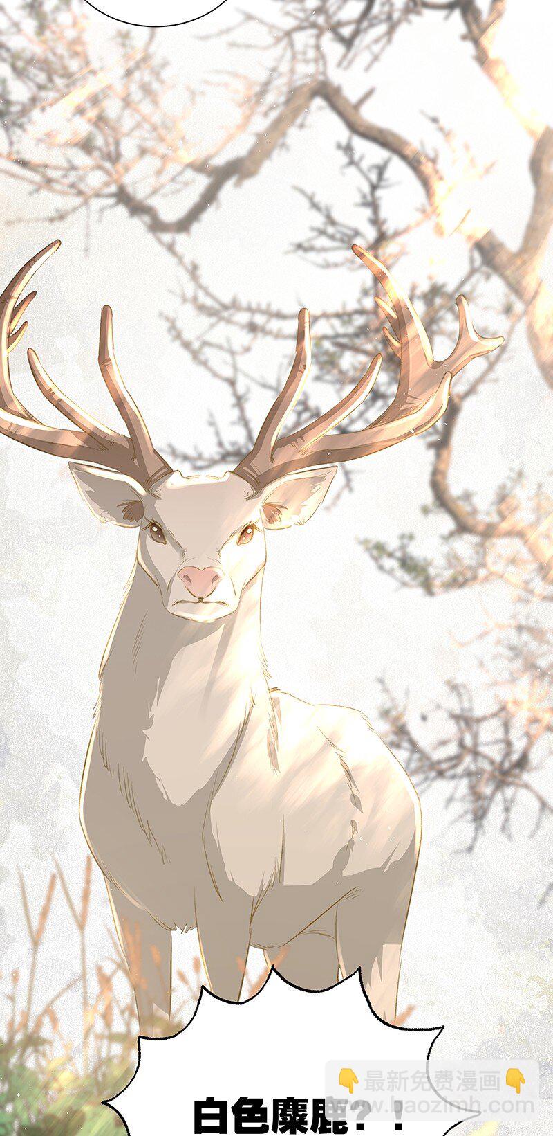 29 吉祥？！-第29话