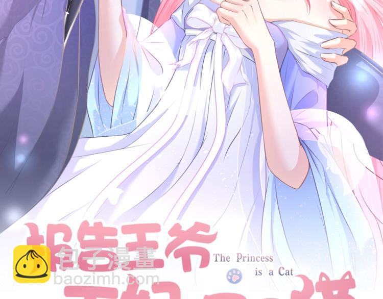 第0+1话 从天而降的喵？(1/4)-第1话