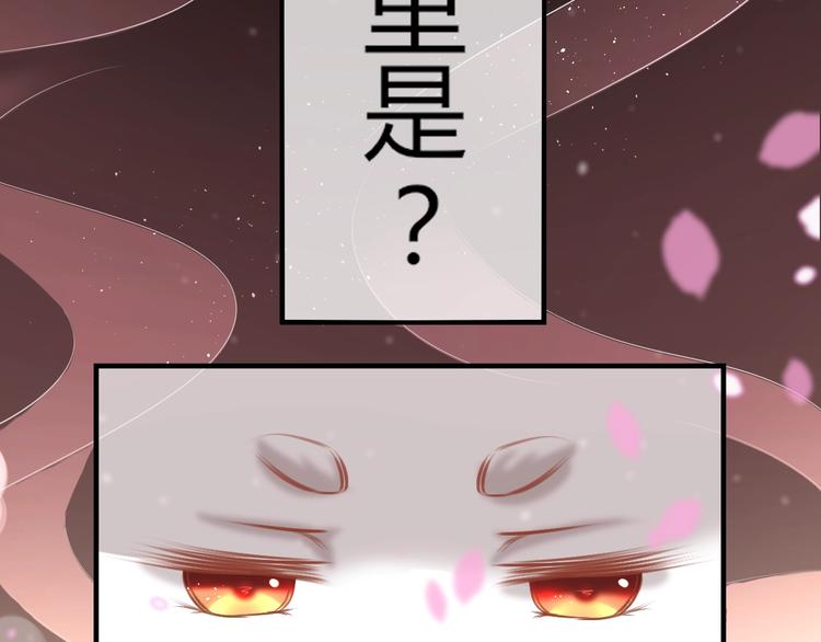 第0+1话 从天而降的喵？(1/4)-第1话