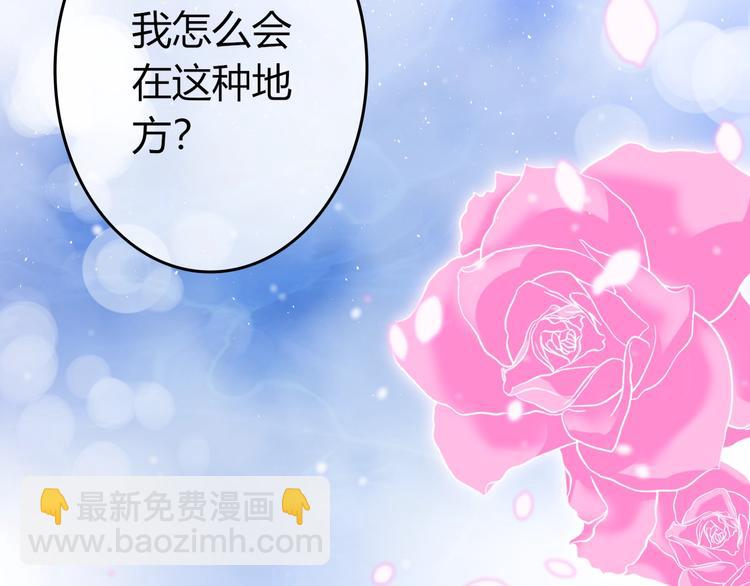 第0+1话 从天而降的喵？(1/4)-第1话