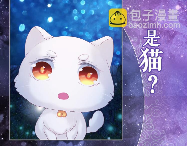 第0+1话 从天而降的喵？(1/4)-第1话