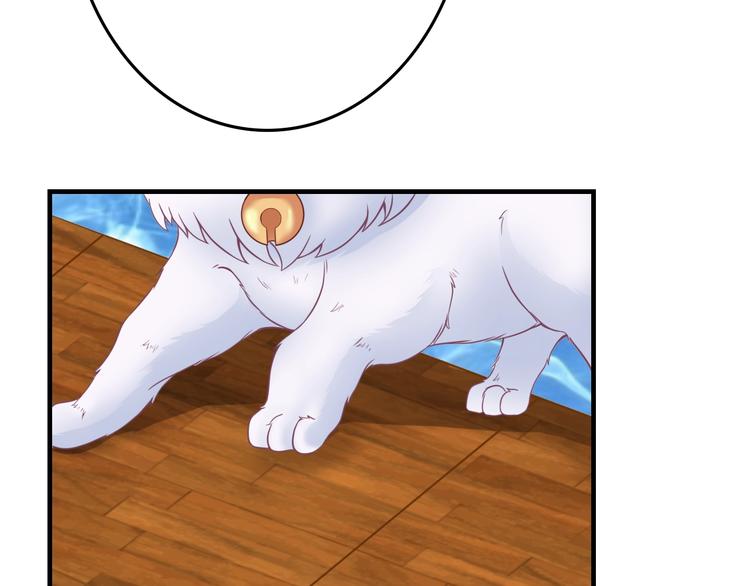 第0+1话 从天而降的喵？(1/4)-第1话