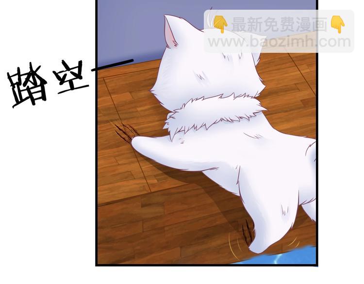 第0+1话 从天而降的喵？(1/4)-第1话