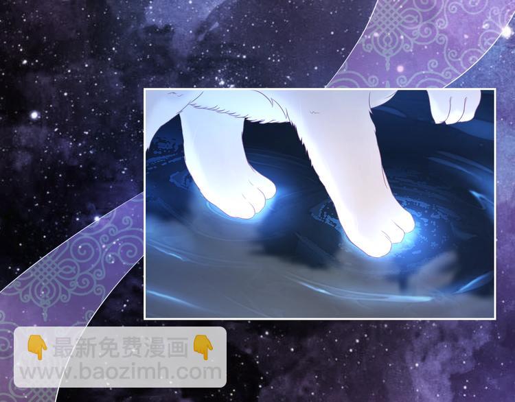 第0+1话 从天而降的喵？(1/4)-第1话