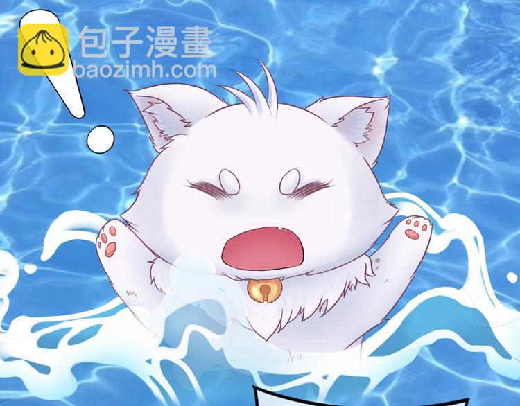 第0+1话 从天而降的喵？(1/4)-第1话