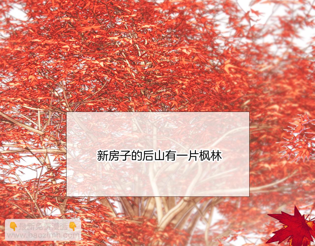 保護我方大大 - 楓與櫻（番外篇）(2/3) - 3