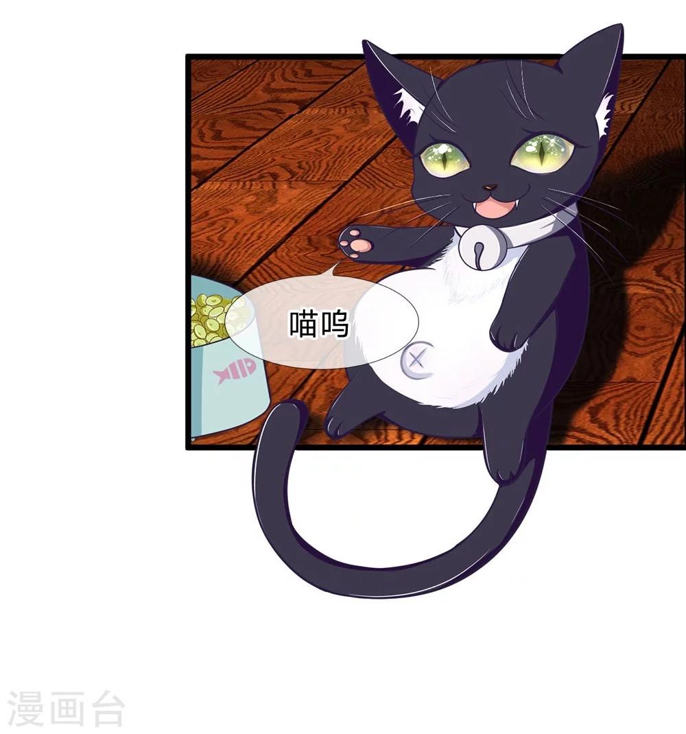 抱紧我的君主大人 - 第107-108话 吃豆豆的猫 - 4