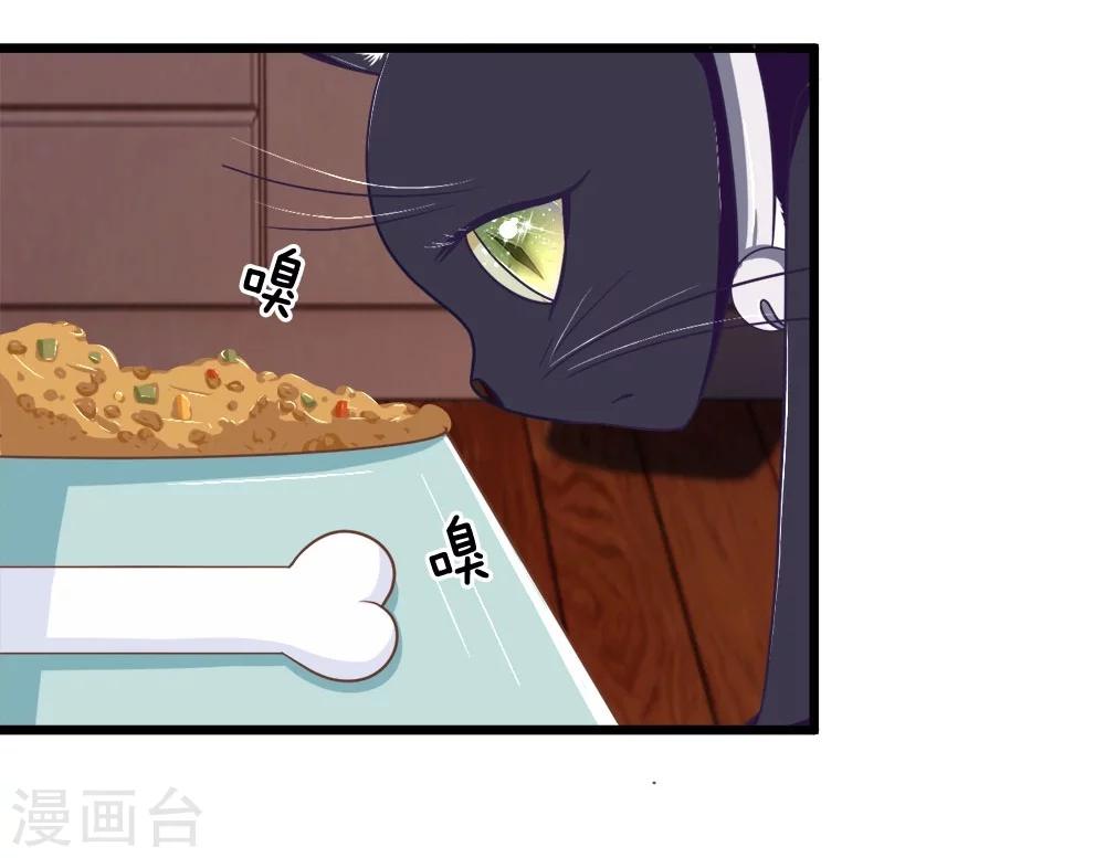 抱紧我的君主大人 - 第107-108话 吃豆豆的猫 - 6