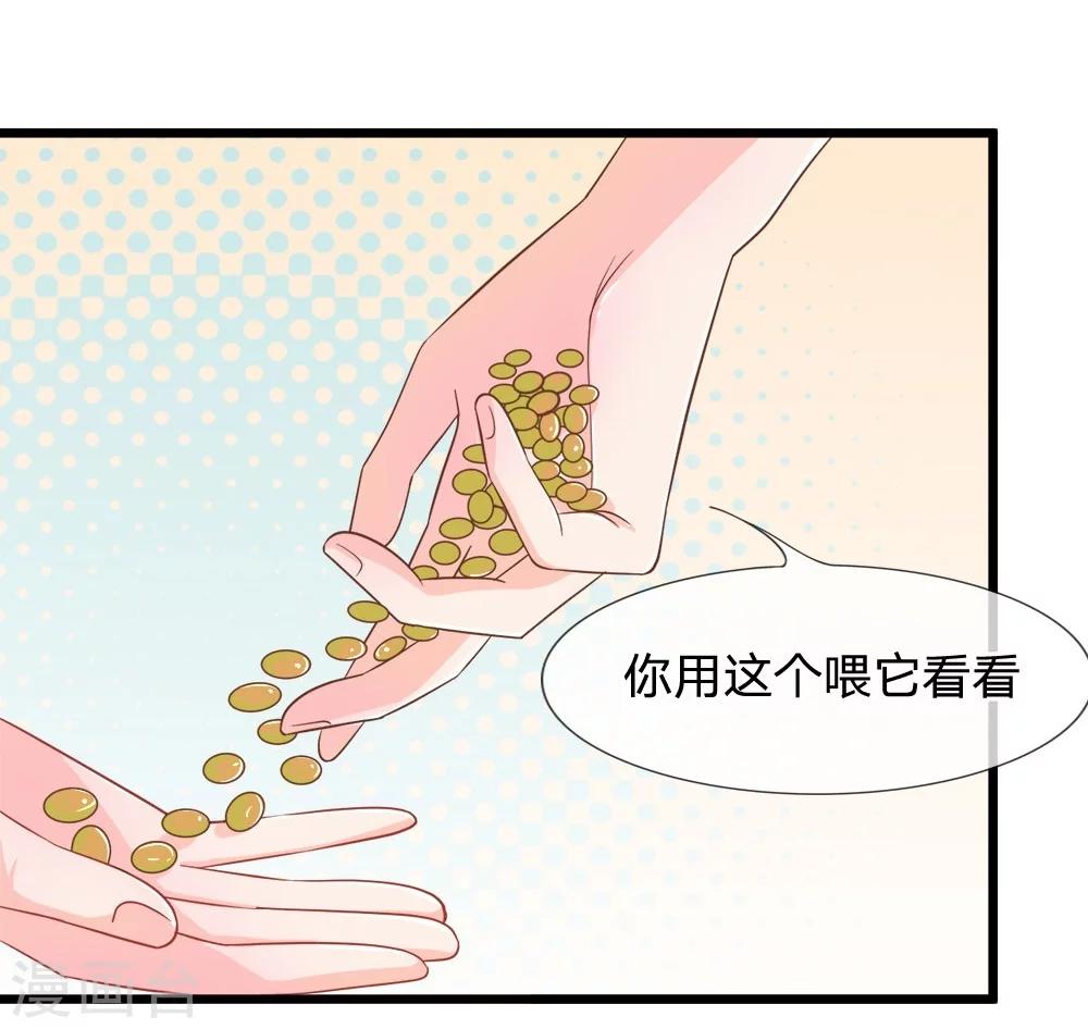 抱緊我的君主大人 - 第107-108話 吃豆豆的貓 - 3