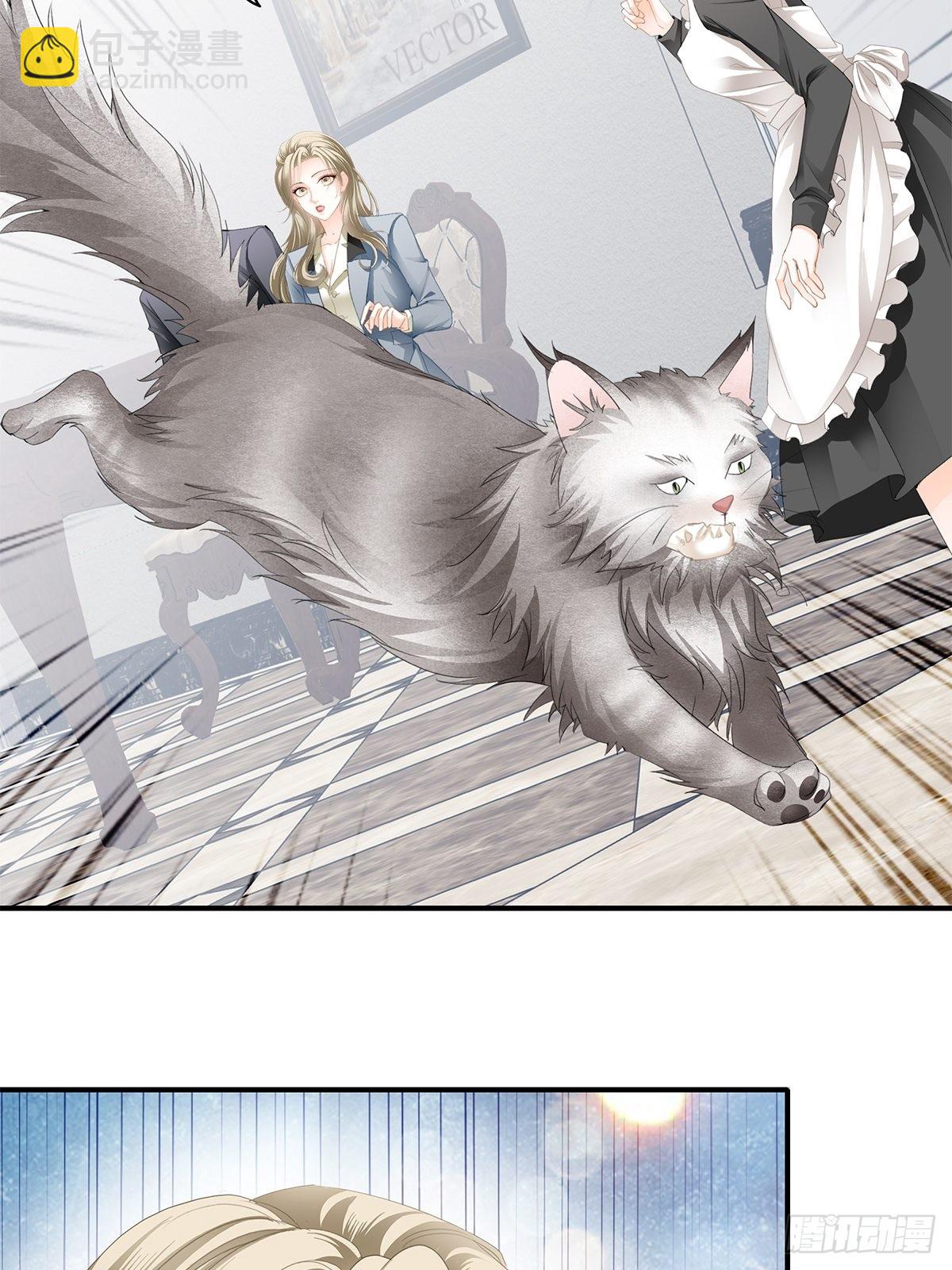 吃猫咪的醋-第31话