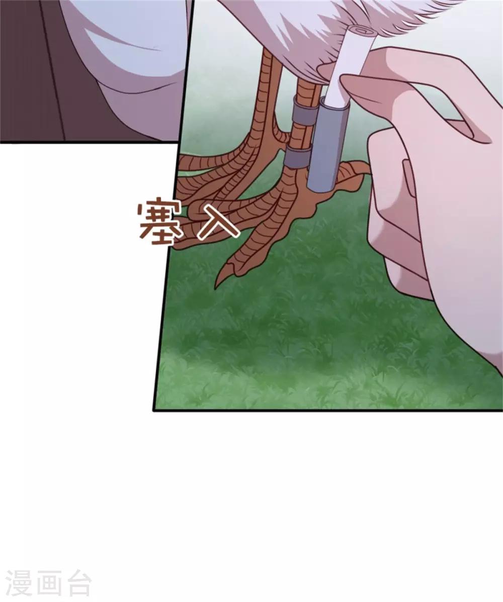 第37话 未婚夫和鸽子的秘密-第39话