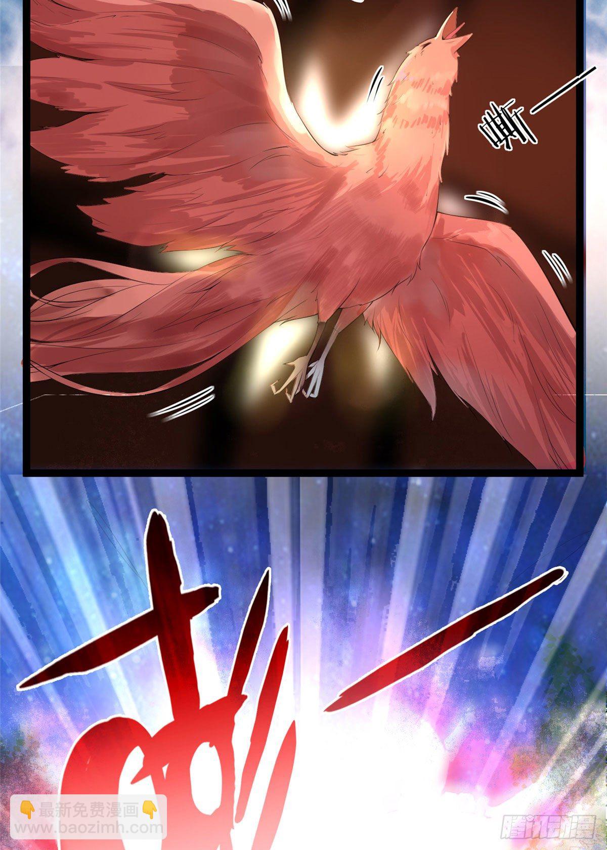 爆萌小仙 - 第十八話 又一羣菜雞 - 4