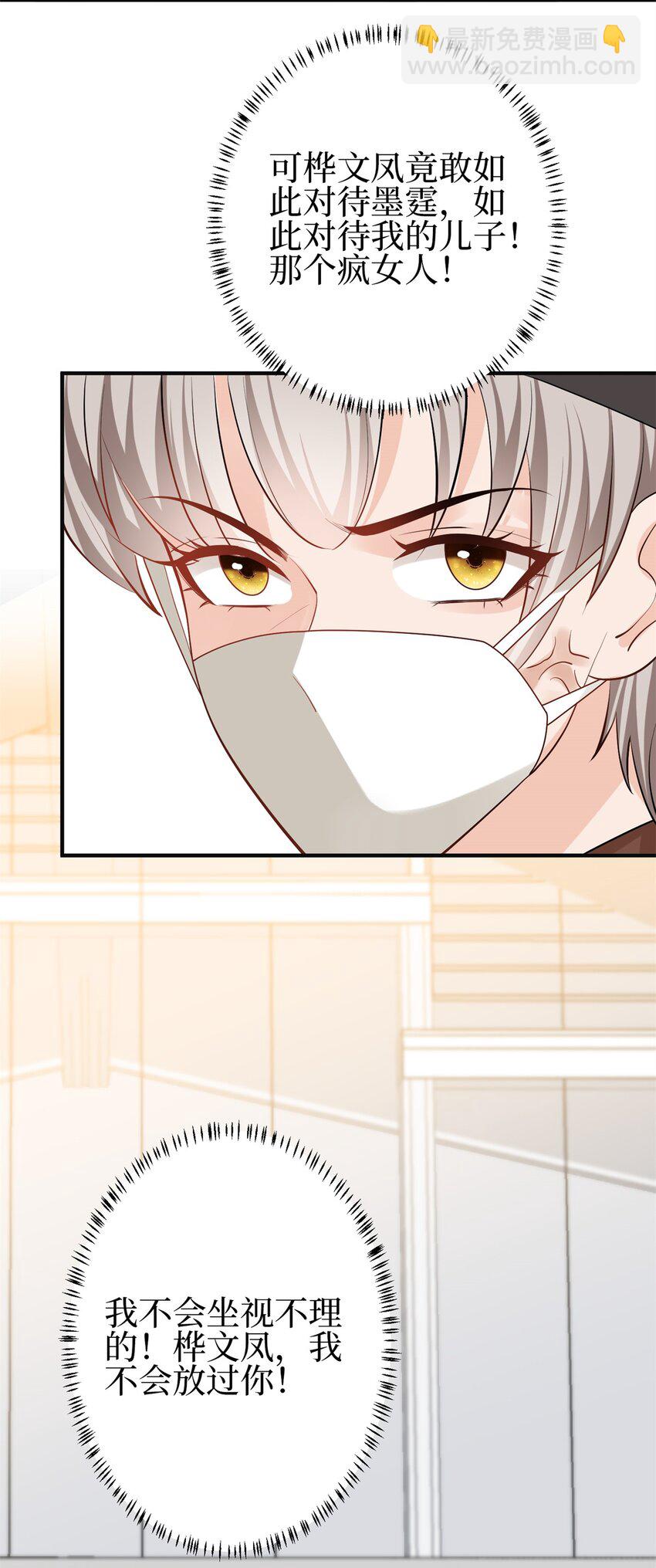 抱歉我拿的是女主劇本 - 356 誰是墨霆的親生母親？ - 3