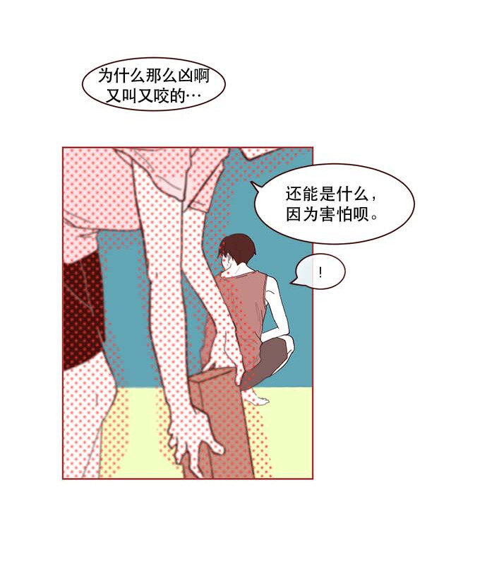 番外篇 番外2(1/2)-第51话