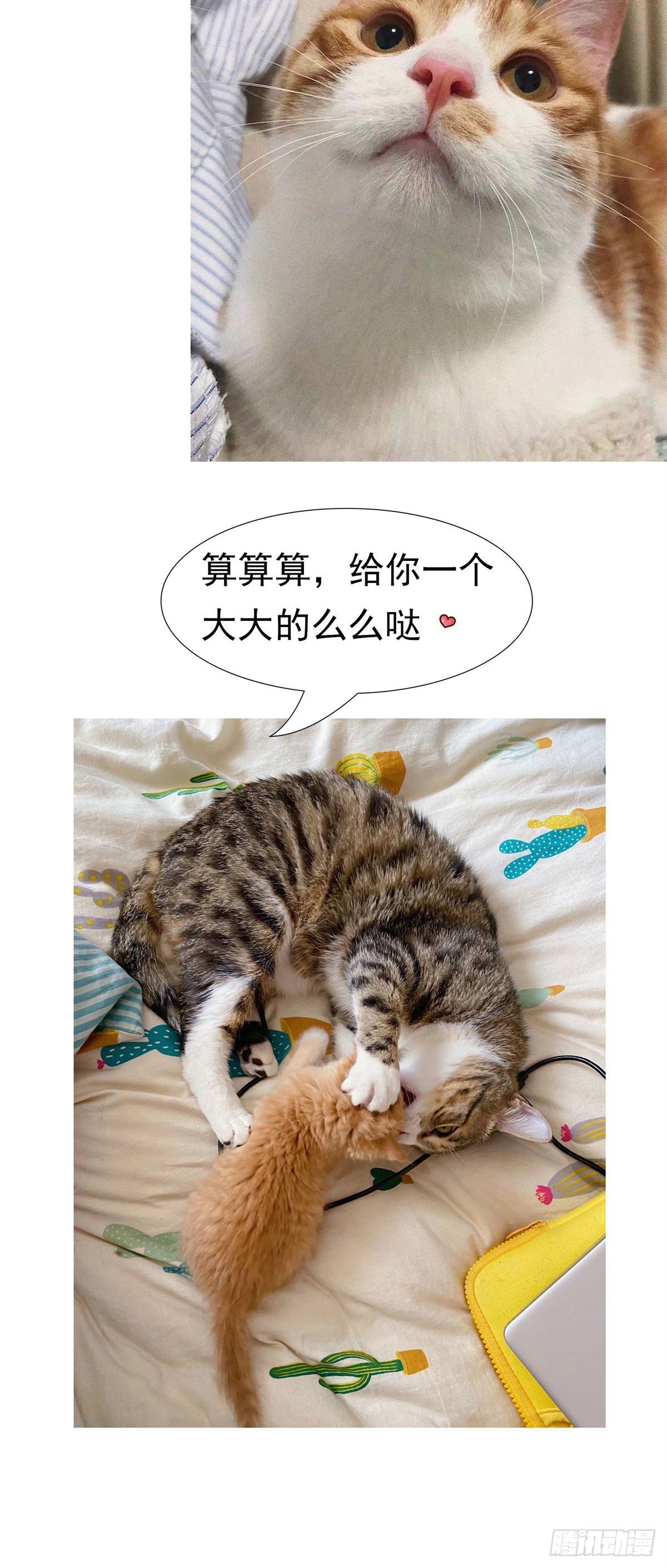 16 最后的礼物-第17话