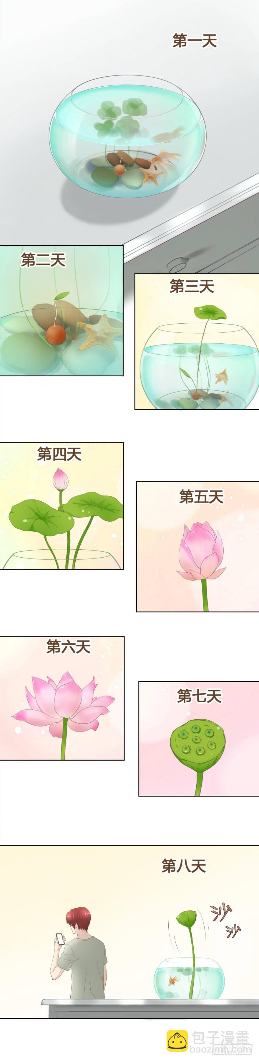 2 天上掉下七个娃-第3话