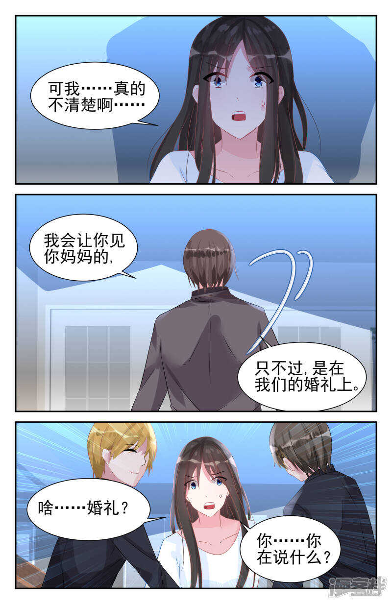 霸情惡少：調教小逃妻 - 第249話 兒媳婦已經出現！ - 1
